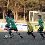 soccer