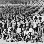 Nla.pic-an24494586_south_sea_islanders