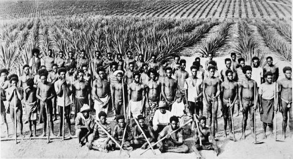 Bundaberg’s Hidden Slave Trade