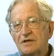 Noam Chomsky: “Sarah Palin was right.”