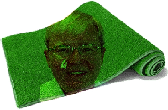 Profiles of Fake ALP-Promoting Astroturf Twitter Accounts